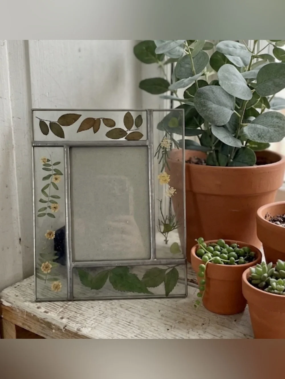 Vintage Dried Pressed Leaves Flowers Glass Picture Photo Frame for 3.5x5” Pic
